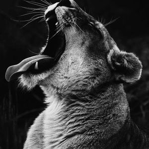 Meet your Posher, Harshal